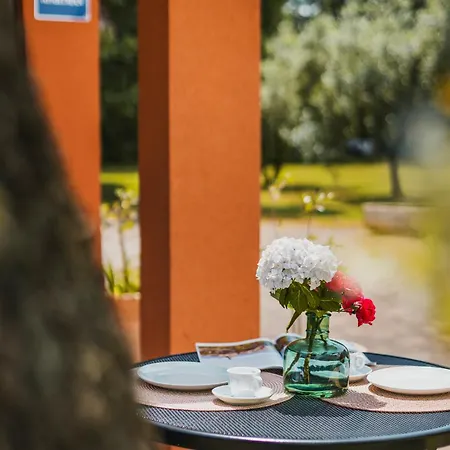 Olea Апартаменты *