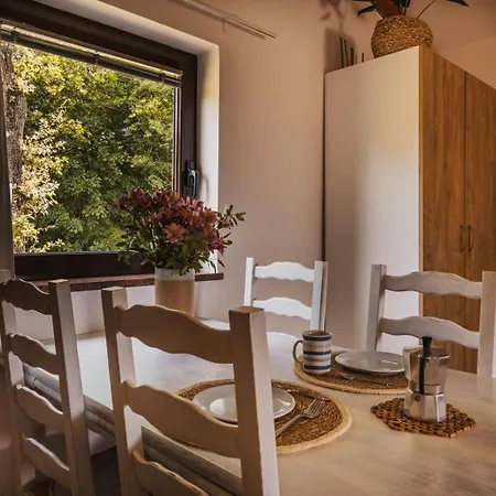 Olea * Novigrad Istria