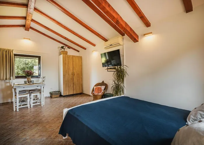 Olea 아파트 Novigrad Istria