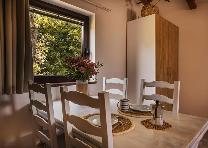 Olea * Novigrad Istria