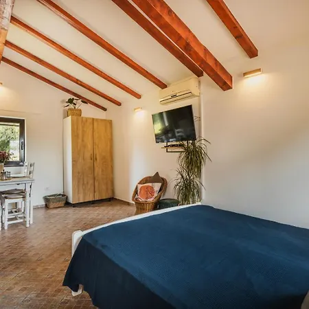 Olea Apartment Novigrad Istria