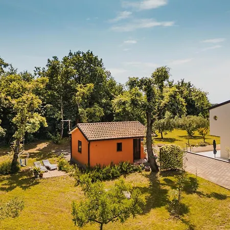 Olea Novigrad Istria