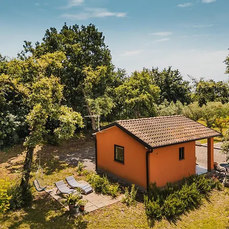 Olea Apartment